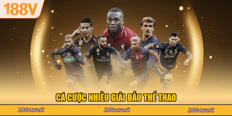 Cá cược nhiều giải đấu thể thao