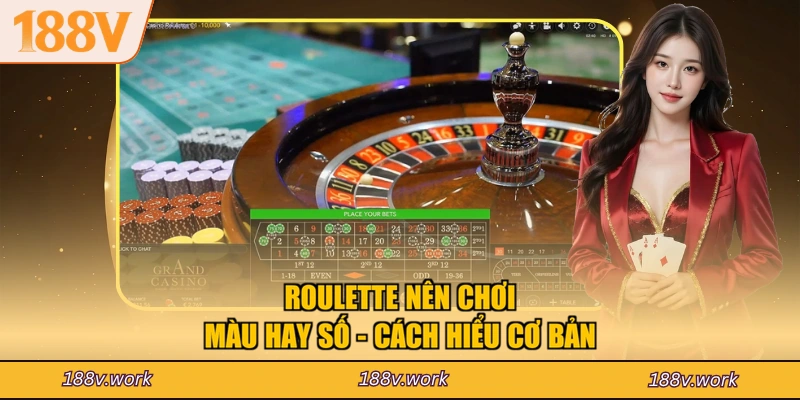 Roulette nên chơi màu hay số - Cách hiểu cơ bản
